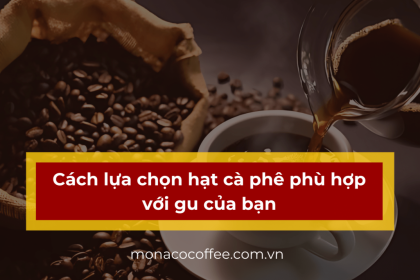 Cách lựa chọn hạt cà phê phù hợp với gu của bạn