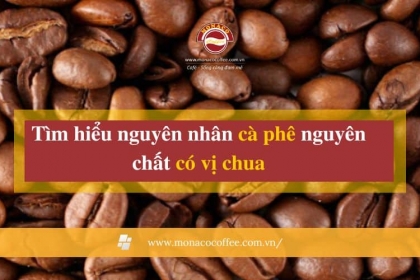 Tìm hiểu nguyên nhân cà phê nguyên chất có vị chua