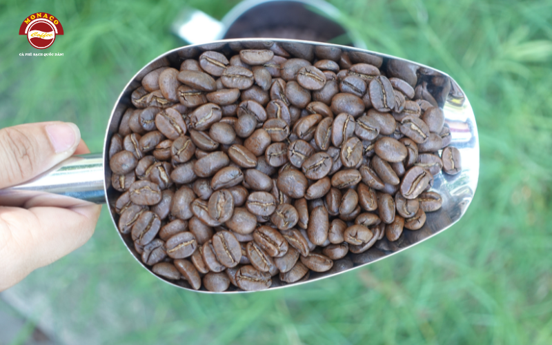 Những lý do cà phê nguyên chất Monaco Coffee được khách hàng ưa thích.